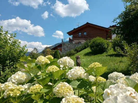 Estate esterno 3 (1)