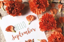 september-4876232_1280