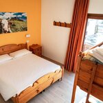  Foto von Campanula Family