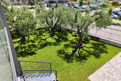 IMG_20240610_125005