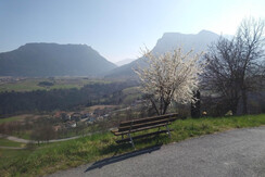 paese