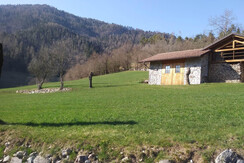 Vista