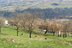 Vista 1