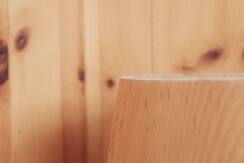 Soldanella_0032-HDR (6)