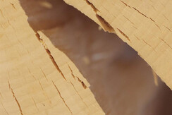 Stella ALpina_309_9933-HDR (10) - Copia