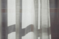 Soldanella_0032-HDR (11)