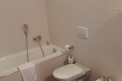 Vasca con braccio doccia