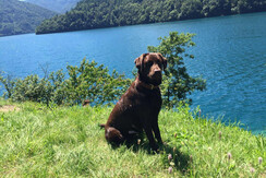 WhatsApp Image 2023-06-13 at 11.33.12