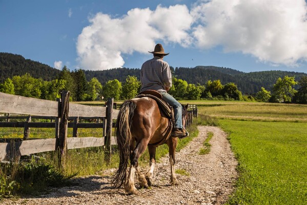 Sum_equitazione_longanorbait_cavalli_2016_Gober (5