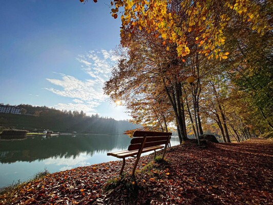 Autunno_Lago Lavarone_2022_Alpe Cimbra (5)