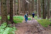 Sum_sentiero_lancino_trekking_lavarone_centa_2020_