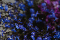 KlimaHouseNorth-Anne©FrancescoDetomas-22