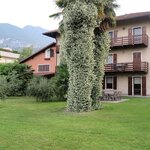 Foto di Appartamento Giardino + Camera Romantica (max 8)
