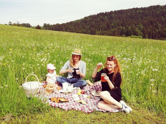 pic nic