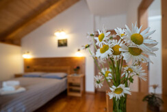 Camera matrimoniale con balcone