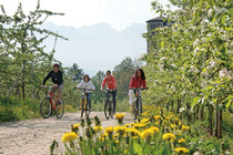 e...state tutti in bici