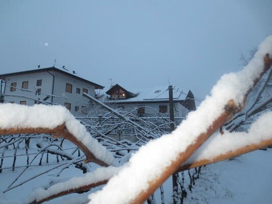 Inverno 2 | © Agritur Antico Fienile