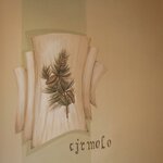 Foto di Camera Cirmolo