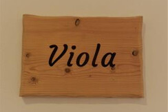 Camera-Viola-insegna-1