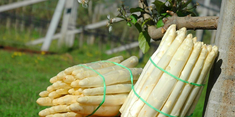 Weekend dell'Asparago