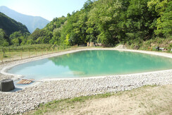 DSCN0272