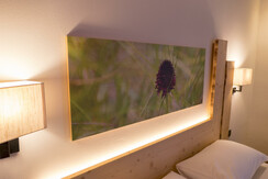 Camera 2_Panasonic_5