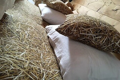 el fen