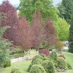 Foto di Camera doppia | © B&B Alla Loggia dell'Imperatore