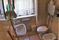 197557905_539423477430309_5219291008932814576_n (2