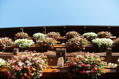 I balconi delle stanze Deluxe Alpi