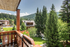 13. Camera Dolomiti