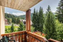 16. Camera Dolomiti
