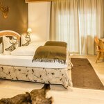  Photo of Junior suite, shower and bath, toilet