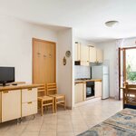  Photo of Apartment, shower and bath, toilet, standard