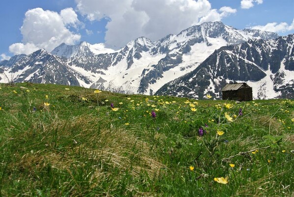 Busazza e Presanella sullo sfondo