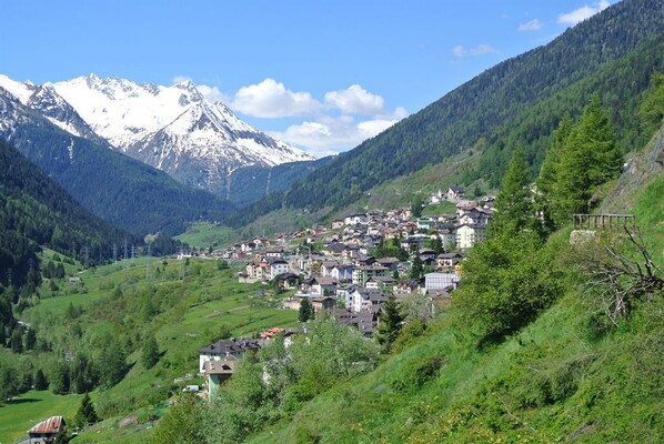 Vermiglio con ghiacciaio Presena sullo sfondo