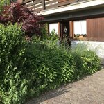 Foto di Appartamento Almida