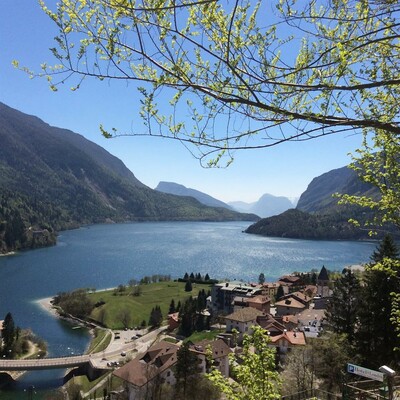 aurara foto 004