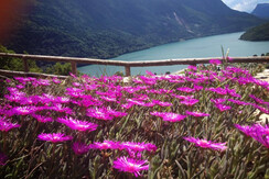 10421134_687391824661365_1395278683636633667_n