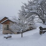 Foto di Bilocale Primo Piano