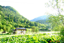 DSC02771