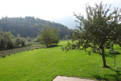 DSC03685