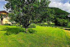 giardino 3