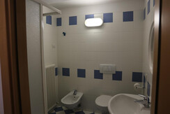 BENACUS quadrupla WC -3