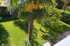 IMG_20200502_102921
