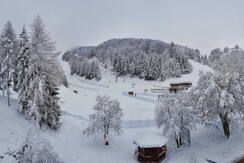 20190203_111358-01 (1)