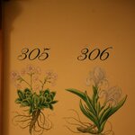  foto van Familiekamer