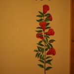  foto van Éénpersoonskamer, douche