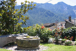 Vista nel giardino
