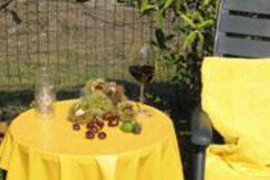 Parte di giardino dell'appartamento Cadenzi